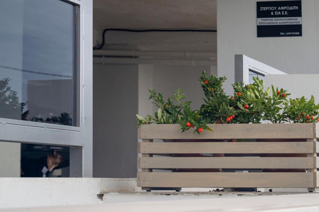 AAA Luxury Residences - Resim 9