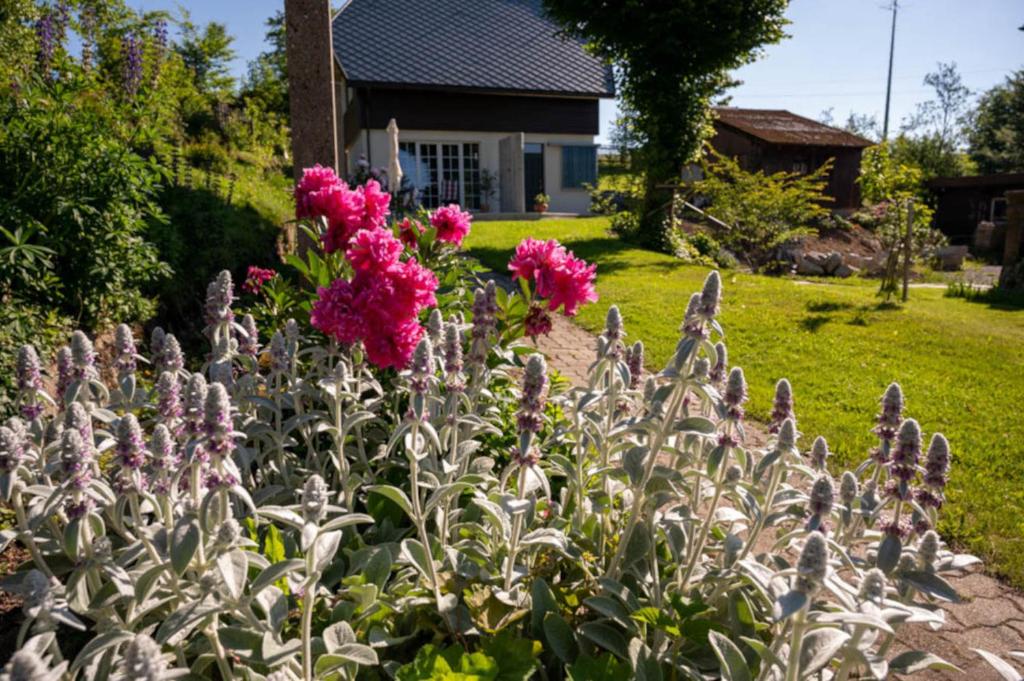 a garden with pink flowers in front of a house at Gersbach-1922 in Schopfheim