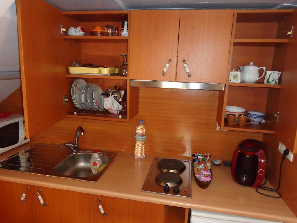 Kuchyň nebo kuchyňský kout v ubytování Irene Maisonettes