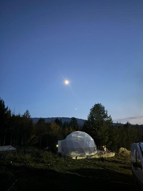 Příroda nedaleko luxury tent