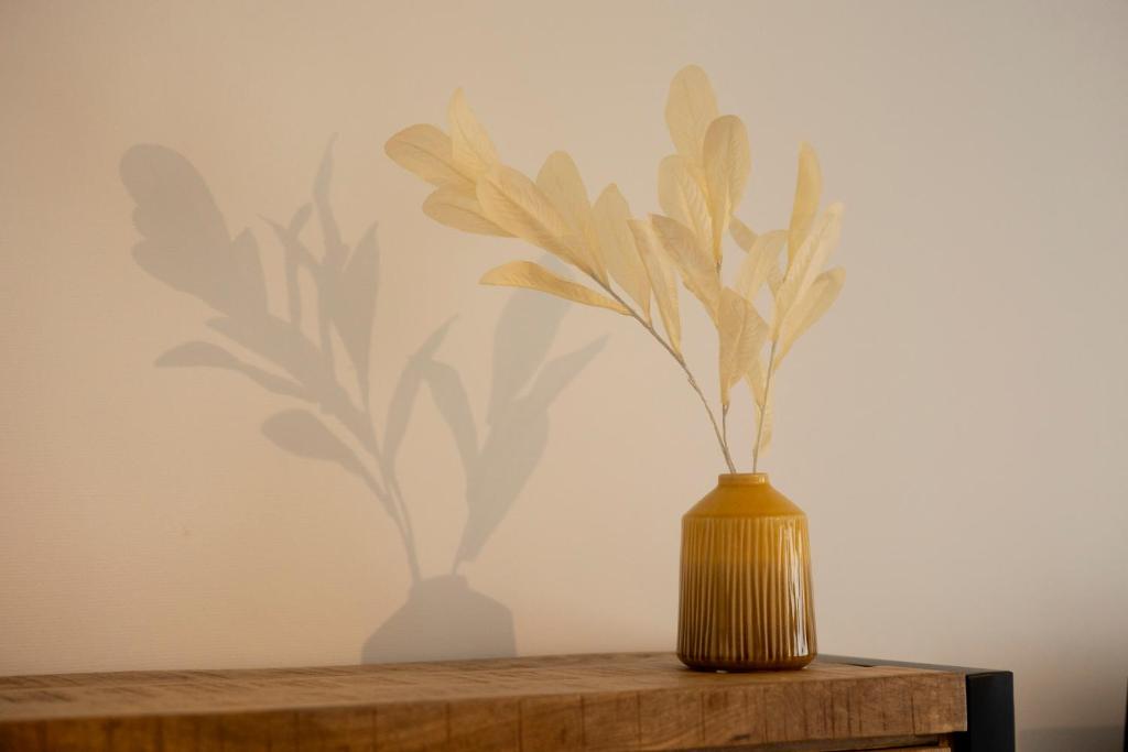 Residences Central Winterberg - 8