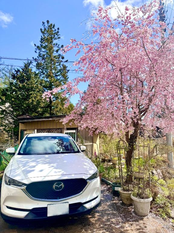 Zahrada ubytování Grand Open!! Guest House 圭堂-Seidou- Free for rental bicycle and the washing machine and dry machine!!自転車レンタル無料!!無料ランドリー有!!