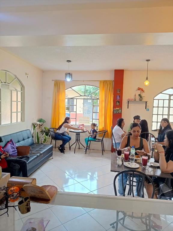 Posezení v ubytování Hotel Amazonia y sol