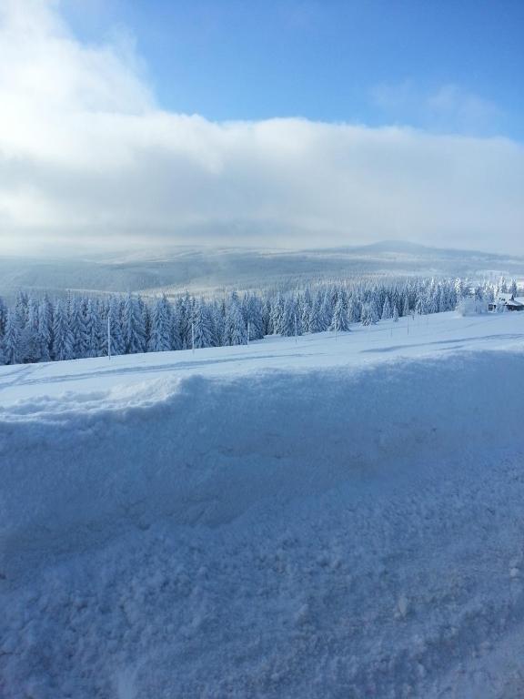 a field covered in snow with trees in the background at Pension Sunset Mezirolí in Nová Role