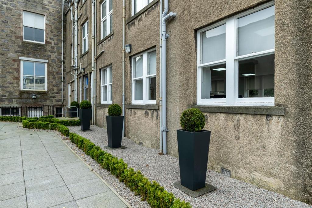 a row of potted plants in front of a building at 8QR Rooms in Aberdeen