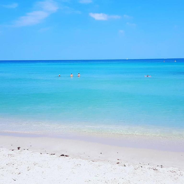 a group of people swimming in the water on a beach at Miami Hollywood Bay View on the Beach in Hollywood