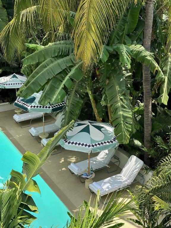 Zahrada ubytování Maison Tropical