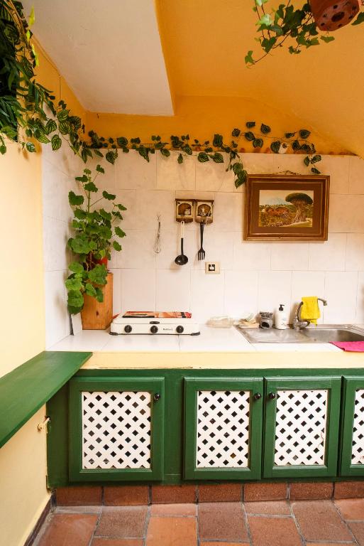 Kuchyň nebo kuchyňský kout v ubytování Hostel Tenerife