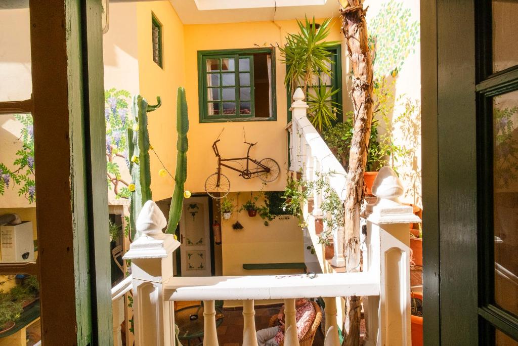 Fotografie z fotogalerie ubytování Hostel Tenerife v destinaci La Orotava