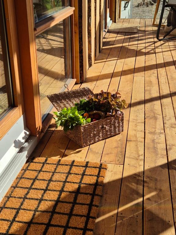 Foto da galeria de Móðir Jörð Organic Farm Guesthouse in Vallanes em Vallanes