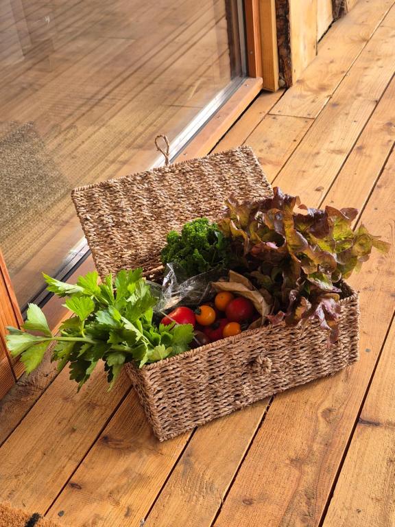 Comida in country house ou em algum lugar perto