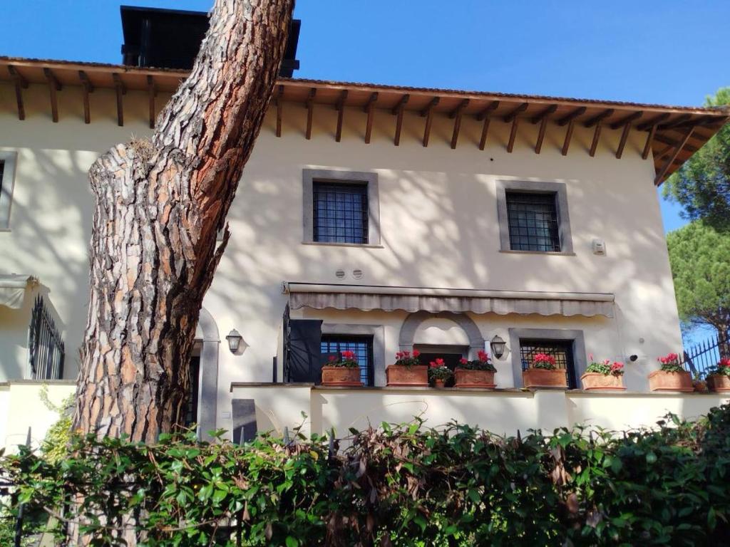 Gemelli Flower's House