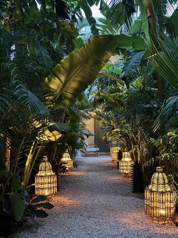 Zahrada ubytování Maison Tropical