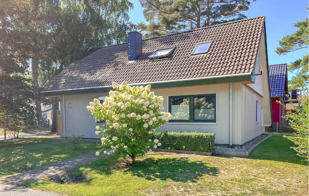 a small house with a tree in the yard at Ferienwohnung Bodstedt in Bodstedt