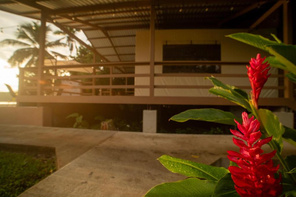 Zahrada ubytování Valverde Glamping & Ecolodge