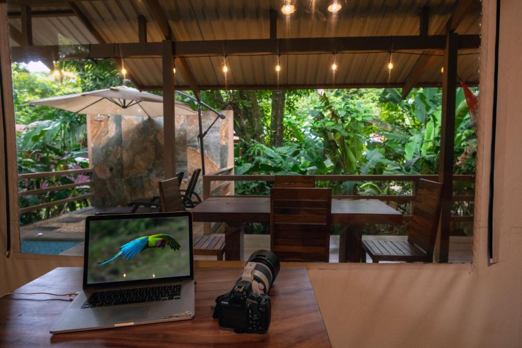 TV a/nebo společenská místnost v ubytování Valverde Glamping & Ecolodge