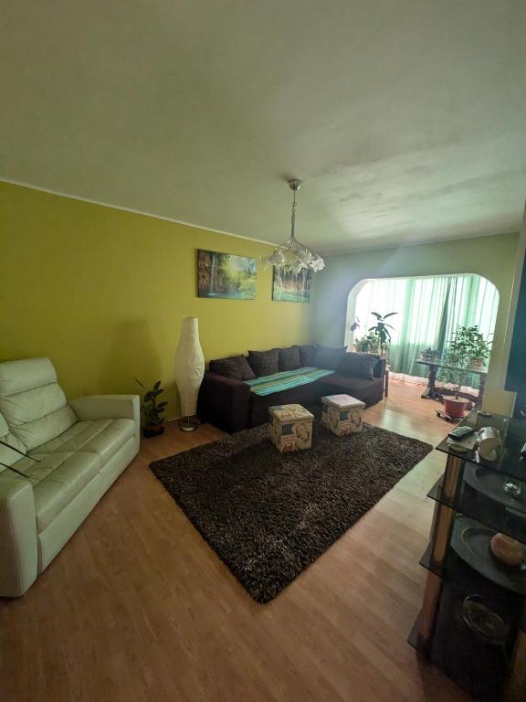 a living room with a couch and a table at Noua Apartment in Braşov