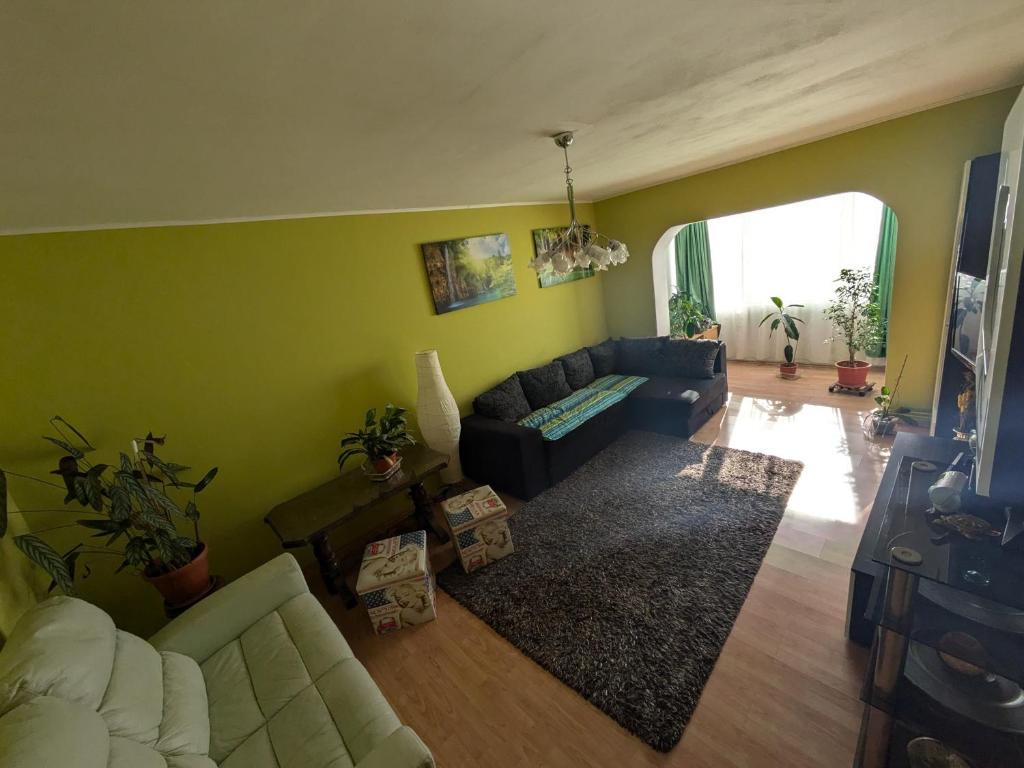 un soggiorno con pareti verdi e divano di Noua Apartment a Braşov