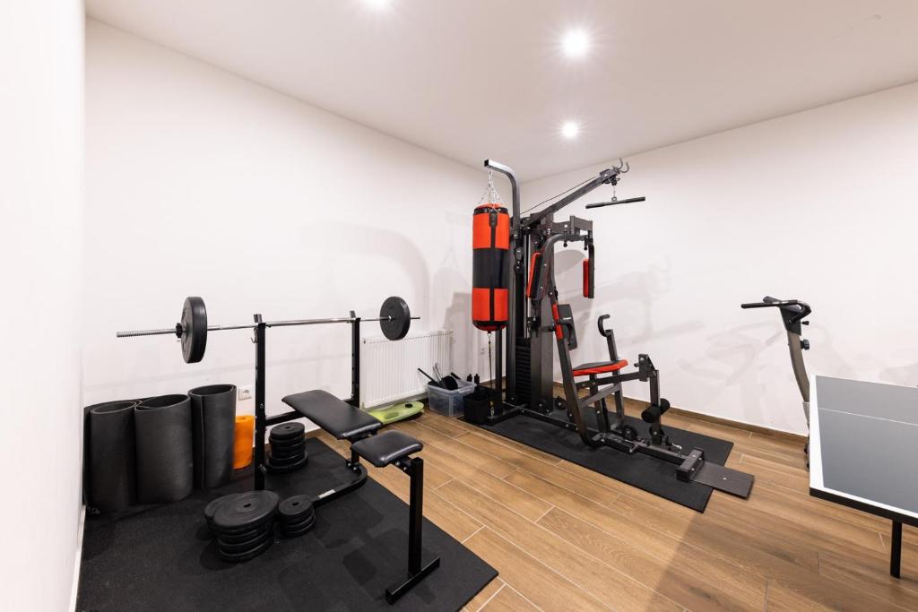 Posilňovňa alebo fitness centrum v ubytovaní Villa Gabriel - Dicmo