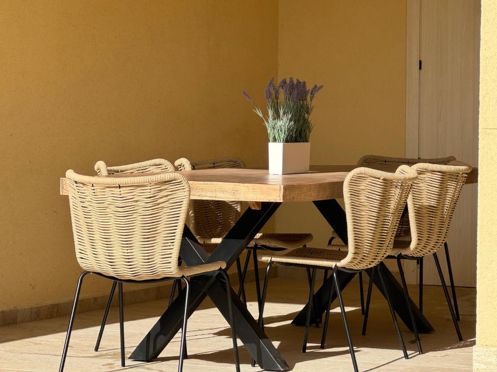 a table with wicker chairs and a table with a potted plant at Casa VillaFlamenca in Segovia