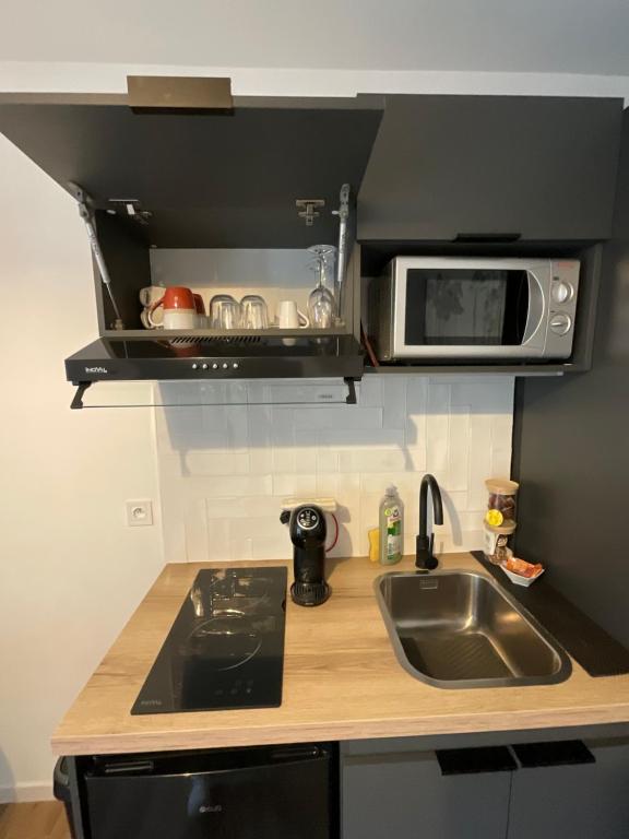 Ma pierre à l'édifice, Face à la Cité vue sublime, studio avec terrasse - 5