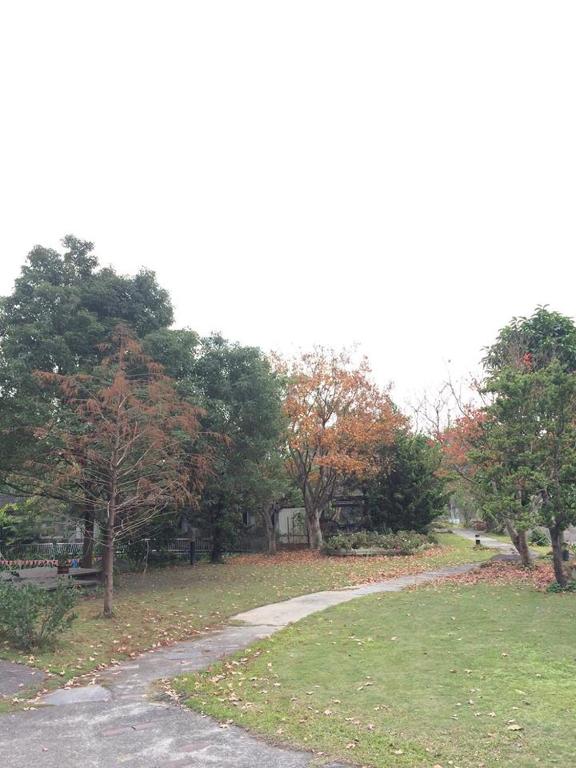 Zahrada ubytování Maple