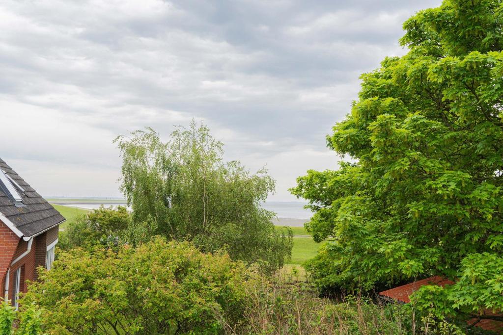 Paesaggio naturale nelle vicinanze dell'appartamento