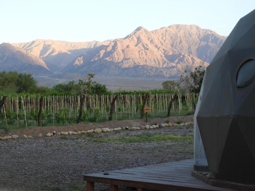 Γενική θέα στο βουνό ή θέα στο βουνό από  αυτό το ξενοδοχείο