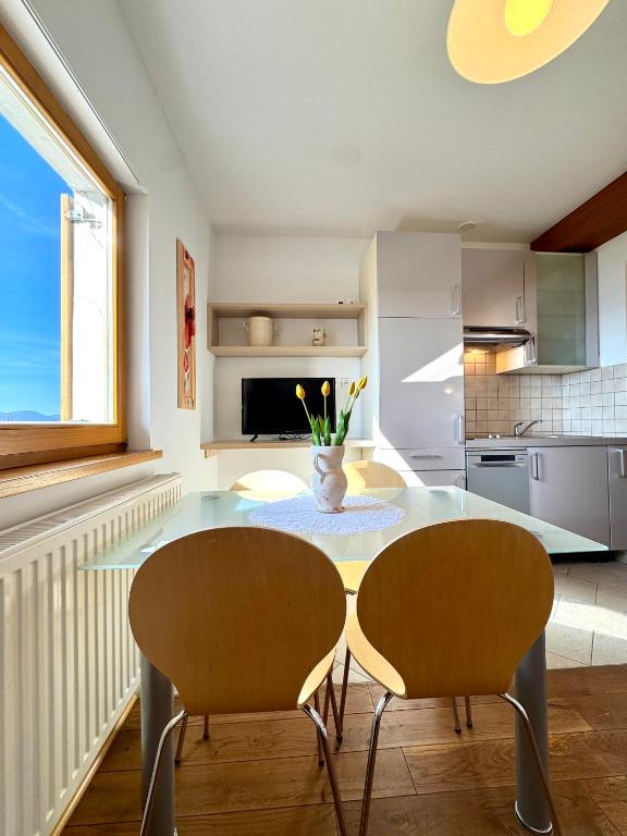 Kuchyň nebo kuchyňský kout v ubytování Guest house Domačija Krnc