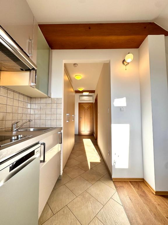 Kuchyň nebo kuchyňský kout v ubytování Guest house Domačija Krnc