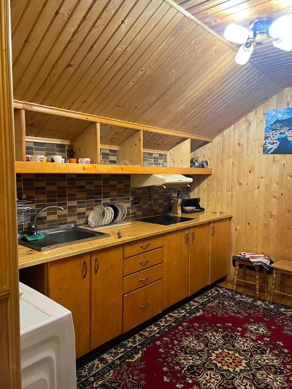 Kuchyň nebo kuchyňský kout v ubytování Farmstead Lisova