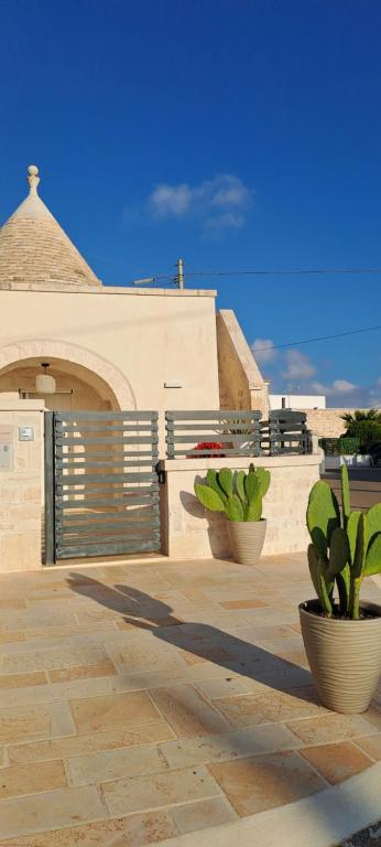 two potted plants in front of a building at Trullo Ritunno in Locorotondo