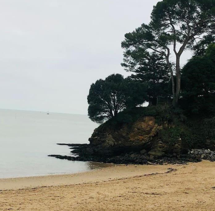 une plage avec des arbres au bord de l'eau dans l'établissement Maison familiale en bord de mer, à Saint-Nazaire