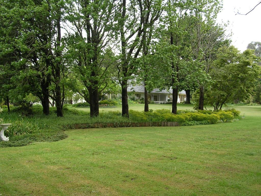 Un jardín fuera de Cedar Garden