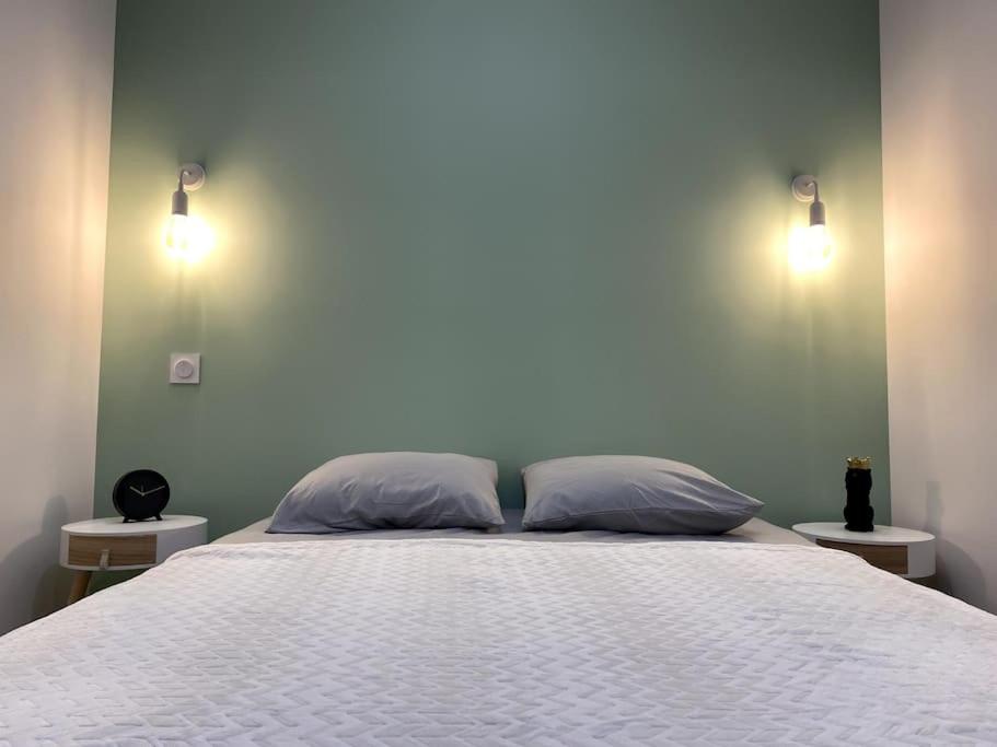 ベルジュラックにあるT2 Cosy proche Centre Villeの枕が2つ置かれたベッドのある寝室