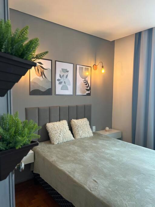 a bedroom with a bed with two pillows on it at Apartamento no centro de Uberlândia in Uberlândia