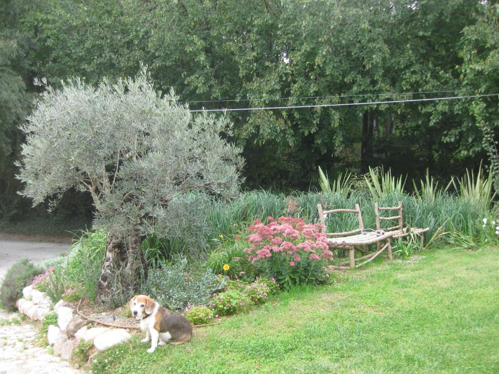 Vonkajšia záhrada v ubytovaní Agriturismo Campagnoletto