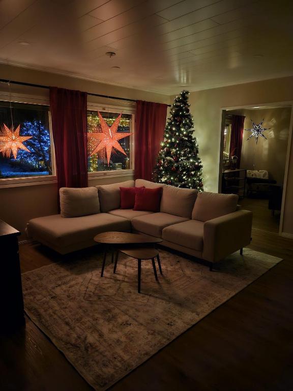 罗瓦涅米Reindeer Nest的带沙发和圣诞树的客厅