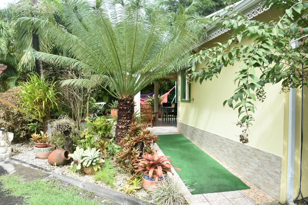 Zahrada ubytování Gite d'Arles Bungalow "Ti Polo"