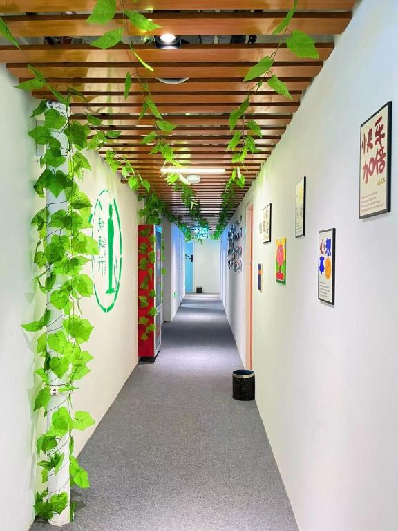 Fotografie z fotogalerie ubytování Zhihexing Youth Hostel-知和行青年酒店 v Pekingu
