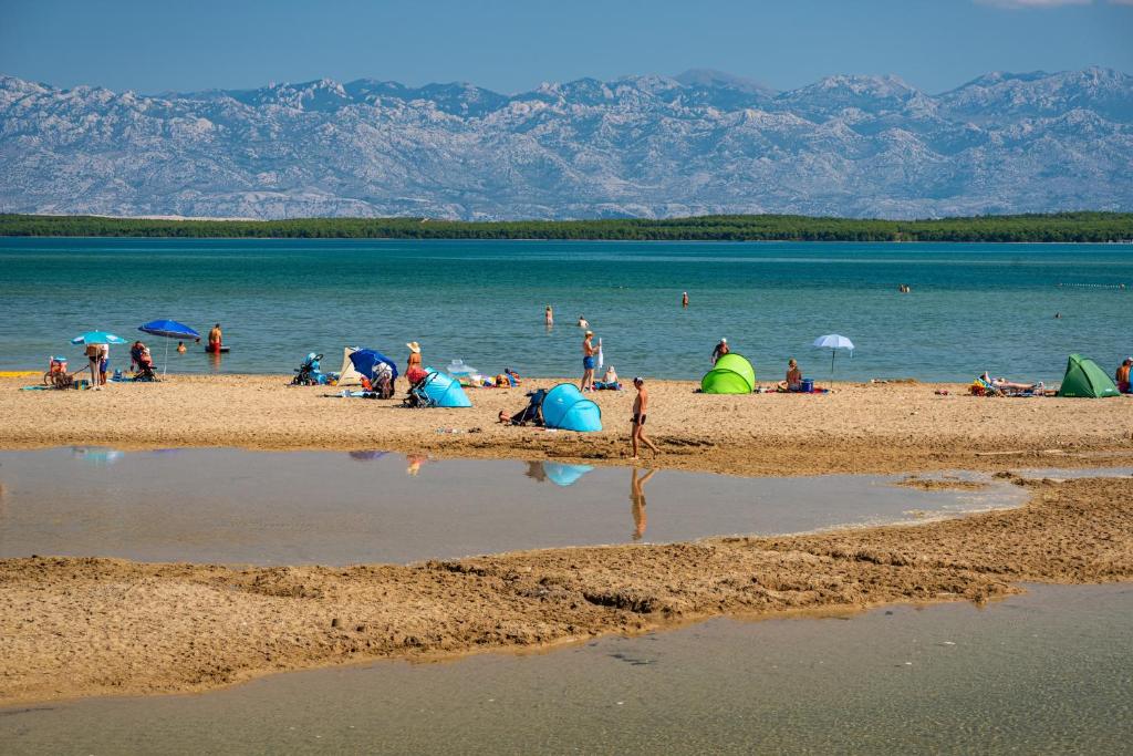 Príroda v okolí apartmánu