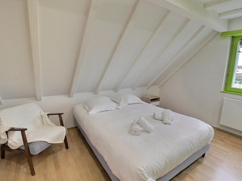 Maison spacieuse à Colmar, 5 chambres, terrasse, WiFi, parking gratuit – photo 19