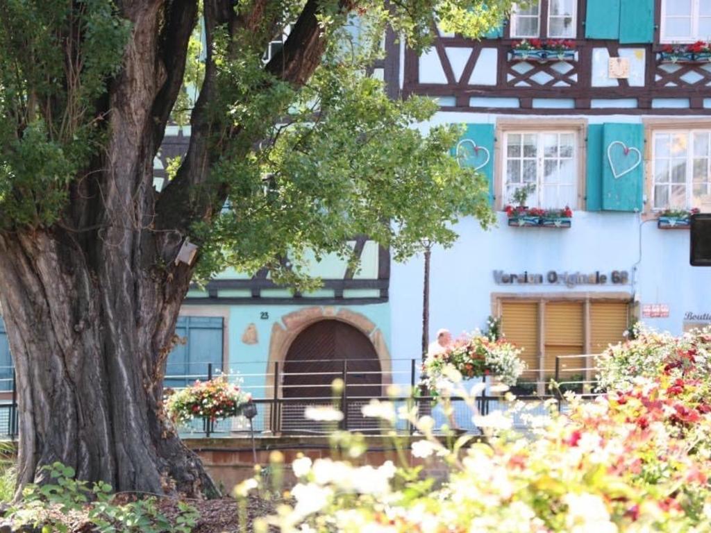 Maison spacieuse à Colmar, 5 chambres, terrasse, WiFi, parking gratuit – photo 24