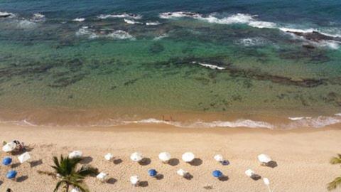  Apartamento Salvador VIP