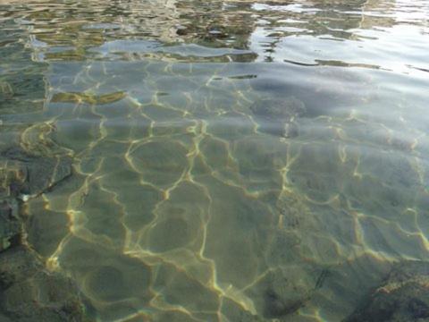  Apartamento Salvador VIP