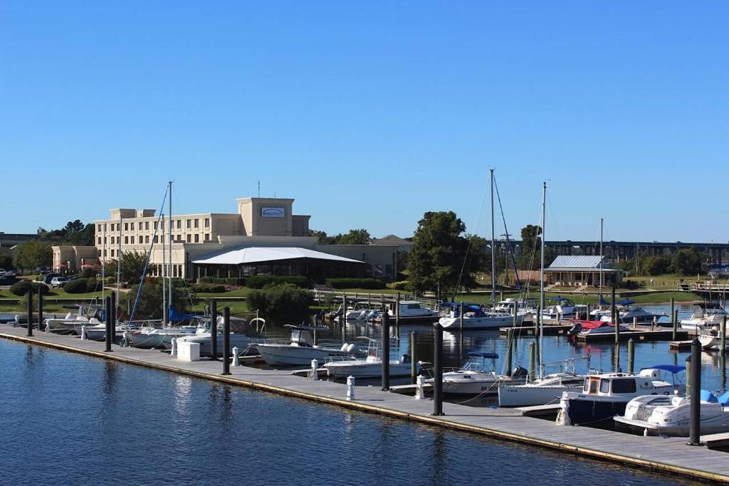 a bunch of boats are docked in a marina at BridgePointe Hotel & Marina in New Bern