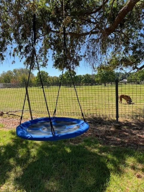 a blue swing hanging from a tree in a field at Myra Downs in Harvey