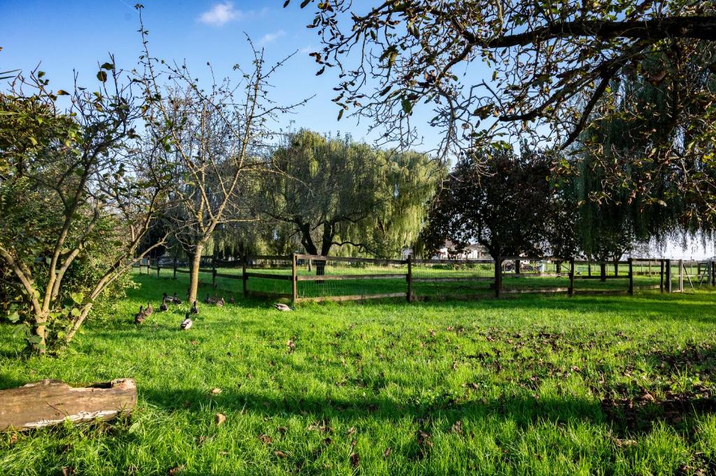 Zahrada ubytování Agri Village Pavia