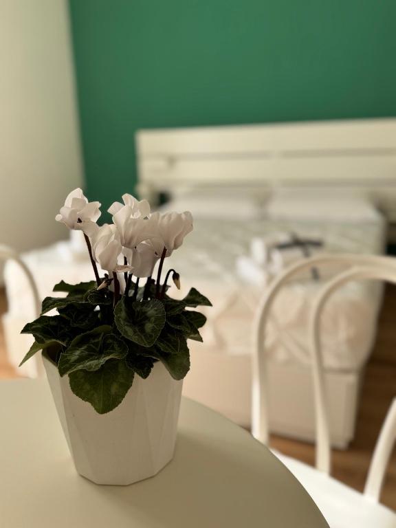 B&B Compare Felice - 3