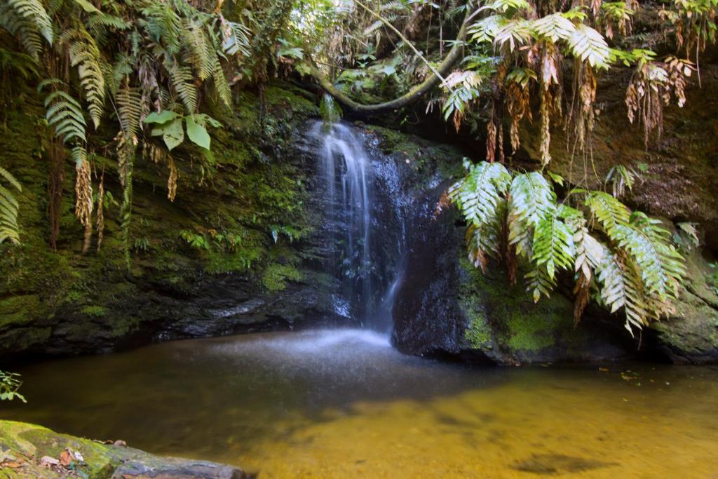  Bosque dos Beija-Flores Pousada e Spa